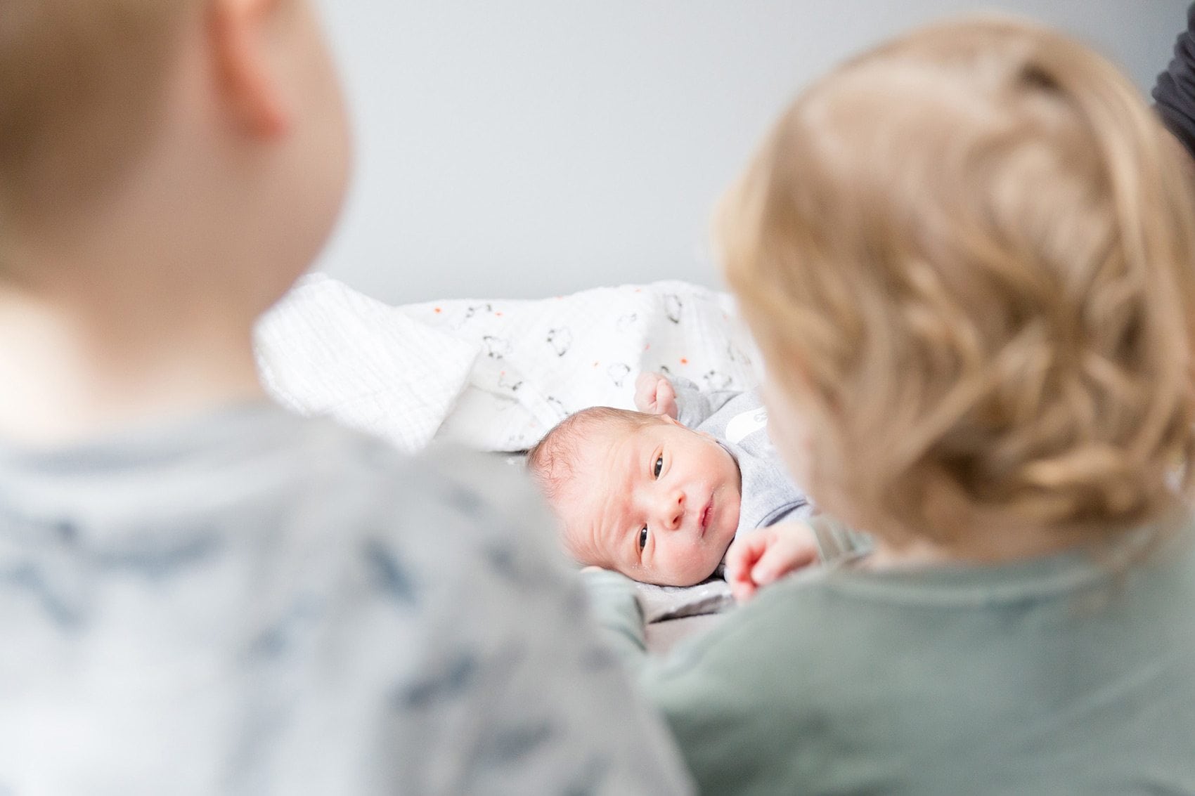 Newborn Shoot & Baby Fotografie (Maastricht, Limburg)